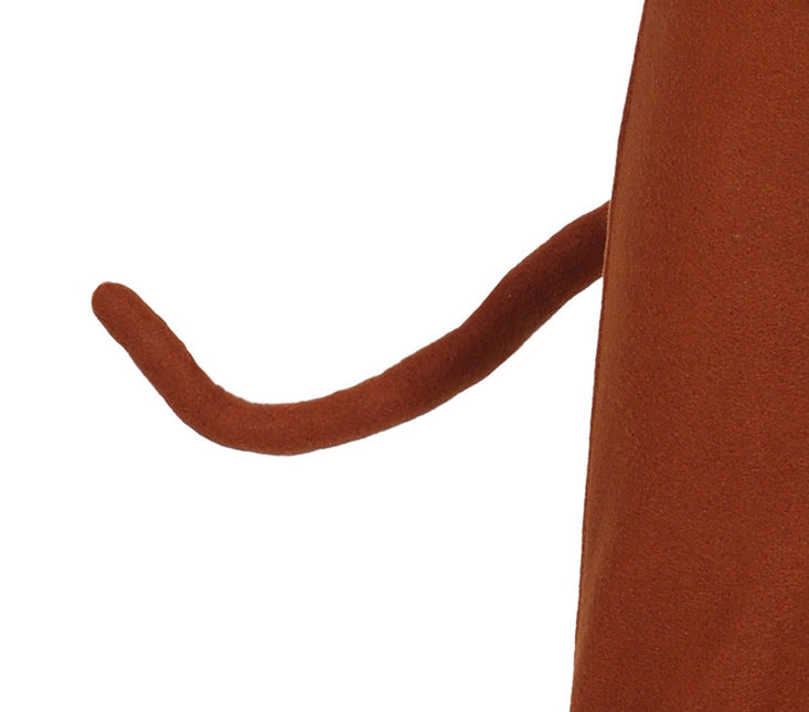 Apenpak Kind van Fiestas Guirca koop je bij Partywinkel