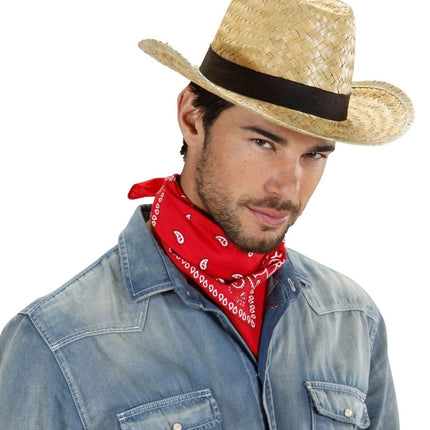 Beige Hoed Stro van Widmann koop je bij Partywinkel