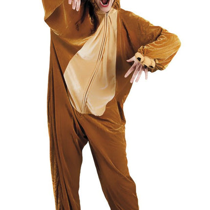 Berenpak van Boland koop je bij Partywinkel