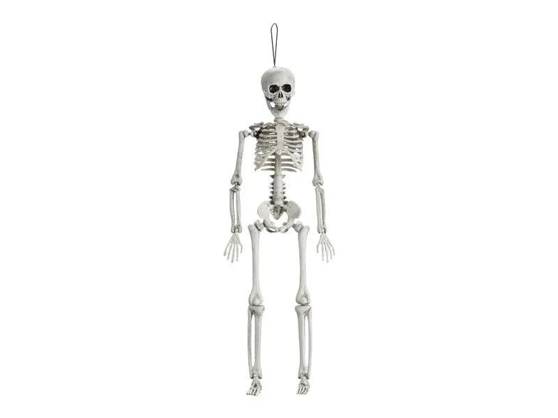 Scheletro di Halloween bianco 40 cm