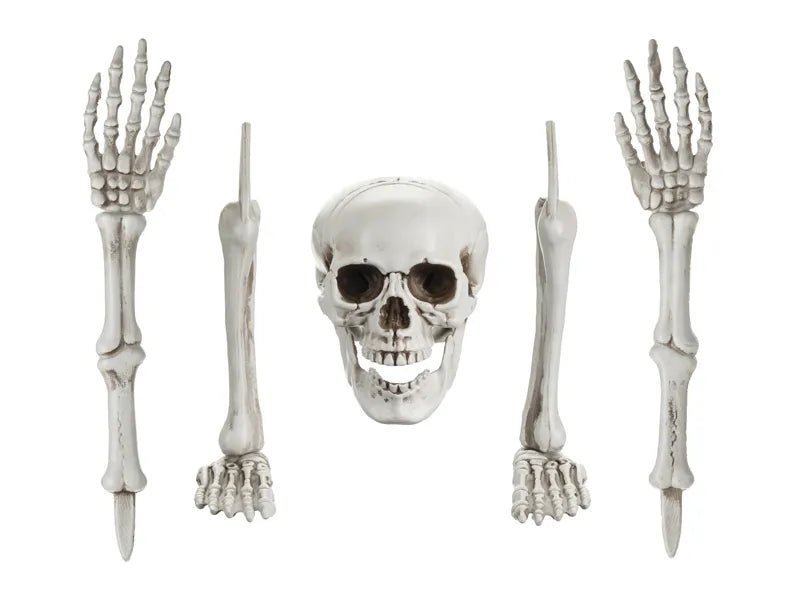 Scheletro di Halloween 5 pezzi