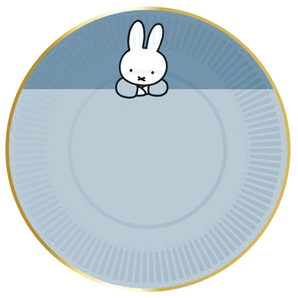 Piatti Miffy blu 18 cm 8 pezzi