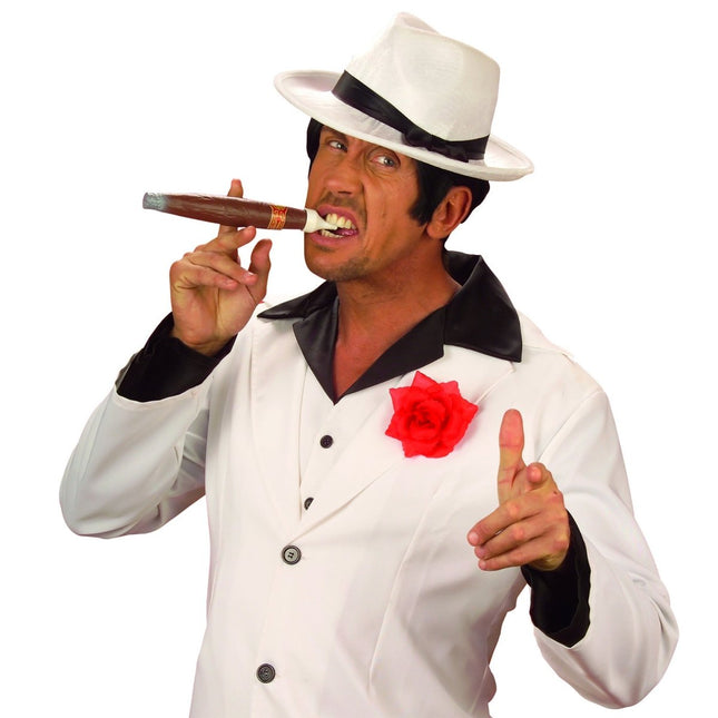 Bruine Sigaren van Widmann koop je bij Partywinkel