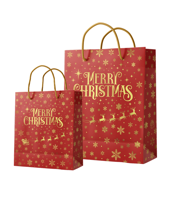 Cadeautas M - Merry Christmas Rood van Paper Dreams koop je bij Partywinkel