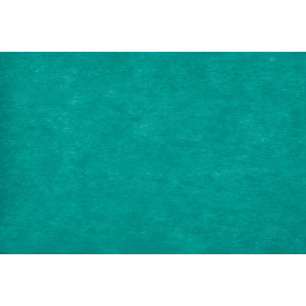 Nastro Eleganza Caraibica 10CM X 20M