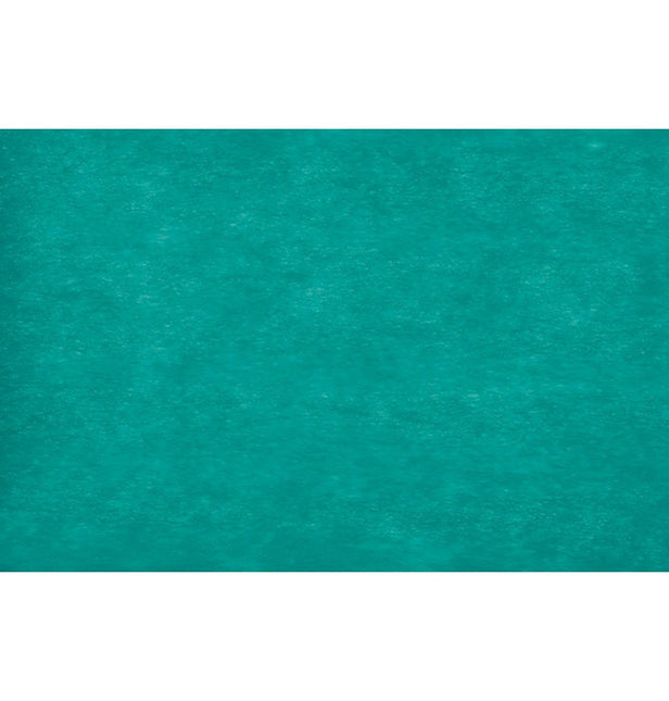Nastro Eleganza Caraibica 10CM X 20M