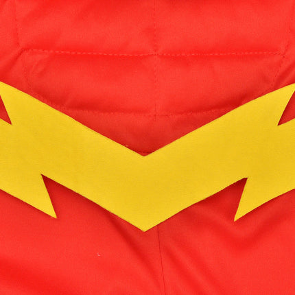 Costume da Flash