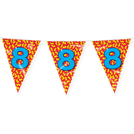 Bandiera 8 anni colorata 10m