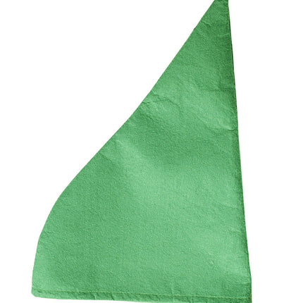 Gnomo dal cappello verde