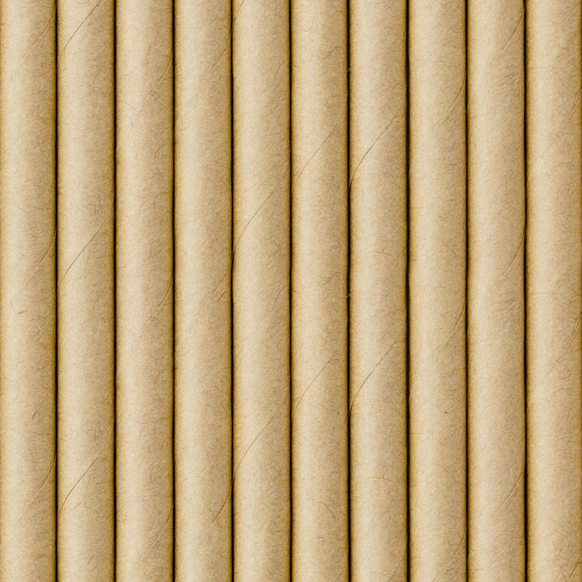 Cannucce di carta in cartone 19,5 cm 250 pezzi