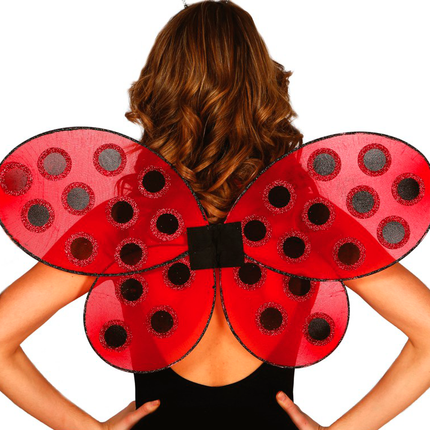 Ali di coccinella 52 cm