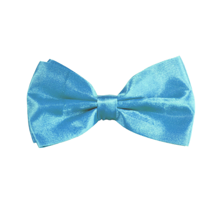 Papillon turchese