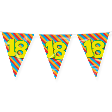 Bandiera 18 anni colorata 10m