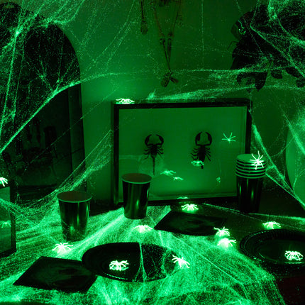 Ragnatela di Halloween che brilla al buio