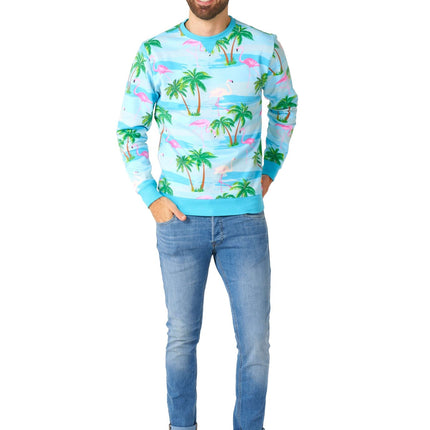 Maglione Hawaii Flamingo Uomo <tc>OppoSuits</tc>