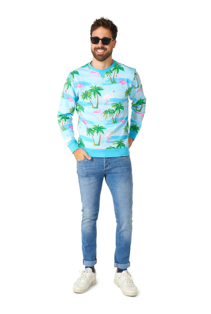 Maglione Hawaii Flamingo Uomo <tc>OppoSuits</tc>