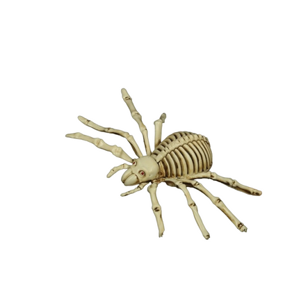 Scheletro ragno di Halloween 24 cm