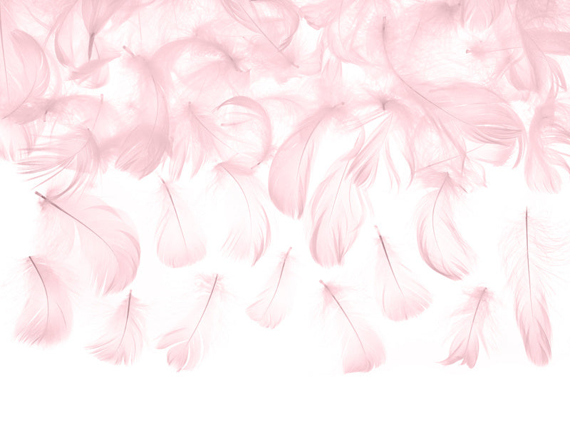 Piume di decorazione rosa 3g
