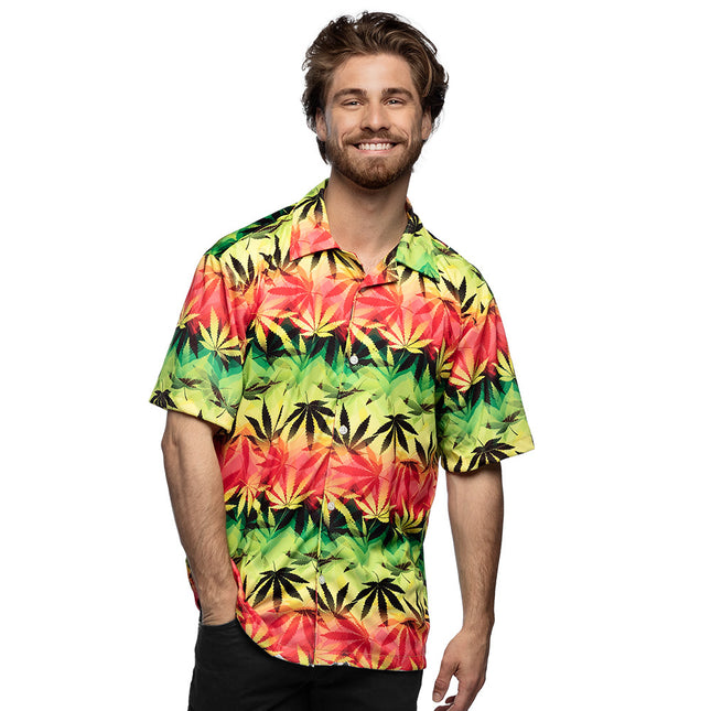 Camicia d'erba Rasta