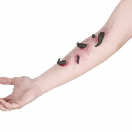 Sanguisughe con colla 5 pezzi