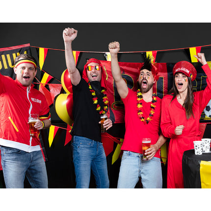 Linea di bandiera Belgio 10m