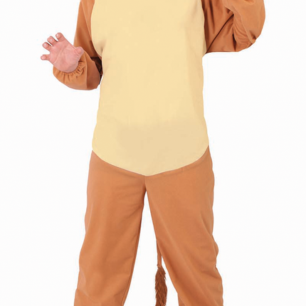 Costume da Leone