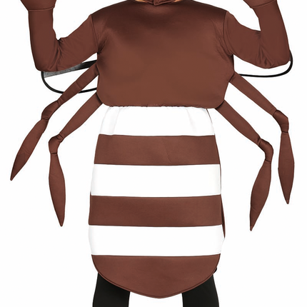 Costume da zanzara L