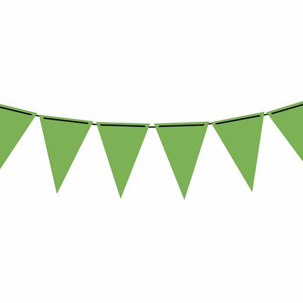 Ghirlanda di carta verde 3m