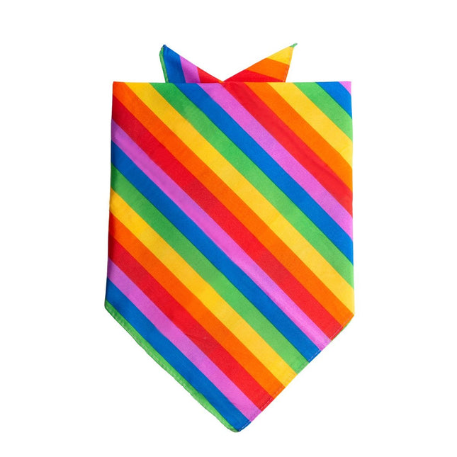 Bandana Rainbow 55 cm