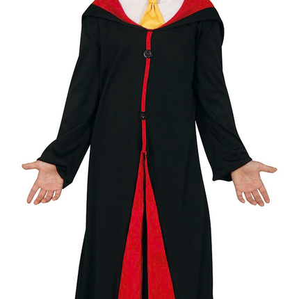 Costume da ragazzo magico