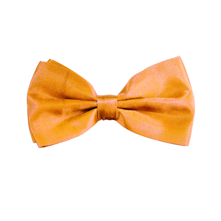 Papillon giallo