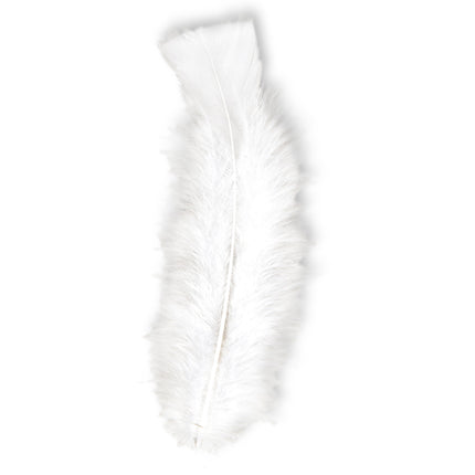 Piume bianche 50 pezzi