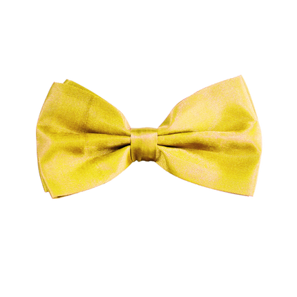 Papillon giallo neon