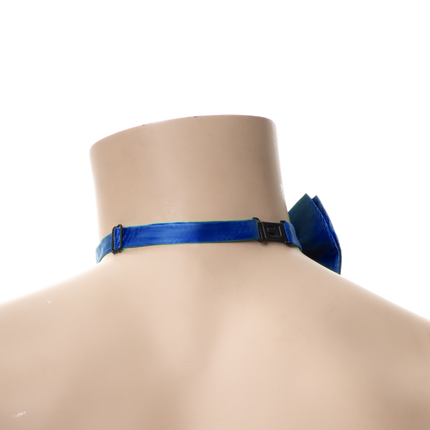 Papillon blu