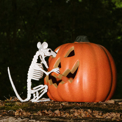 Scheletro di topo di Halloween 18 cm