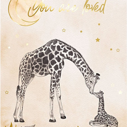 Carte predizione Safari Nude 20pz