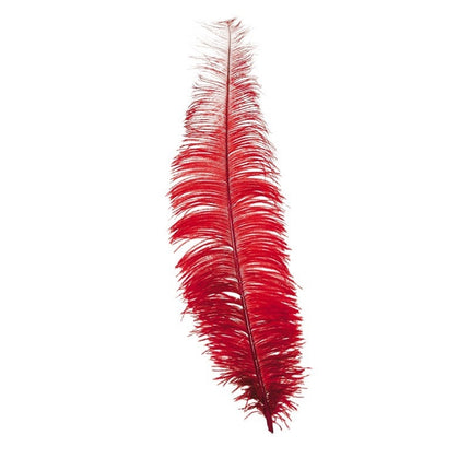 Piume di struzzo rosse 40cm 12pz