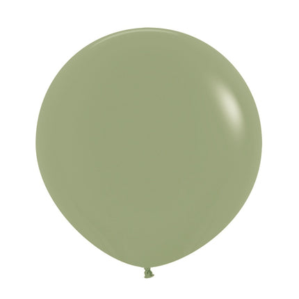 Palloncini Eucalipto 61cm 10pz