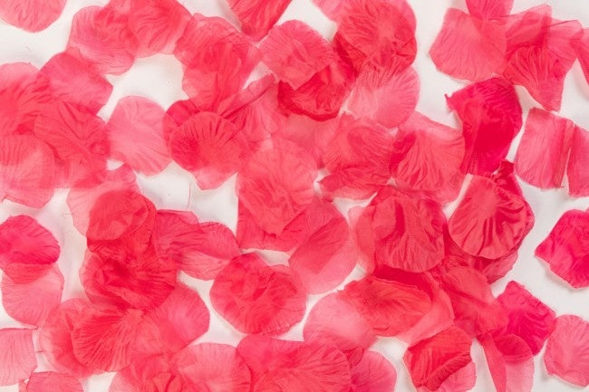 Petali di rosa fucsia 144pz