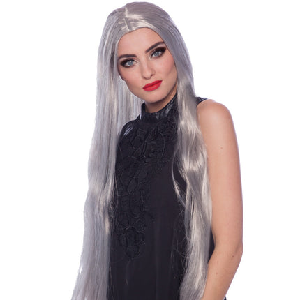 Parrucca capelli lunghi argento