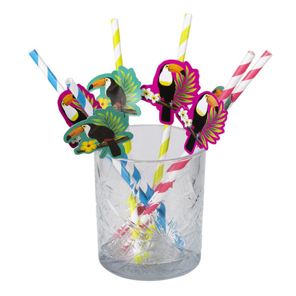 Cannucce di carta Toucan 20cm 6pz