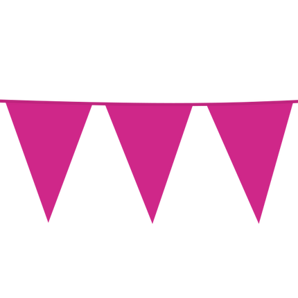 Ghirlanda fucsia Xl 10m
