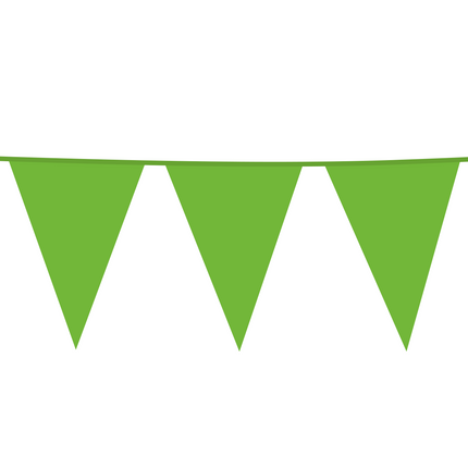Ghirlande XL verde chiaro 10m