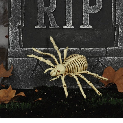 Scheletro ragno di Halloween 24 cm