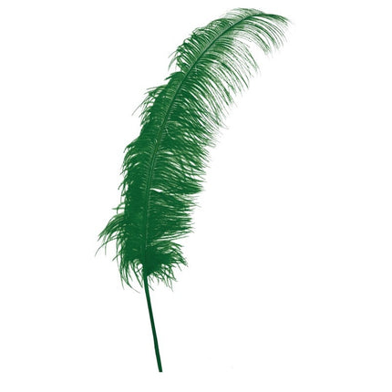 Piume di struzzo verdi 50cm 12pz