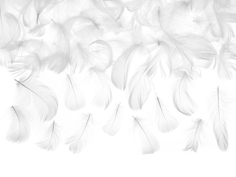 Piume decorative bianche 3g