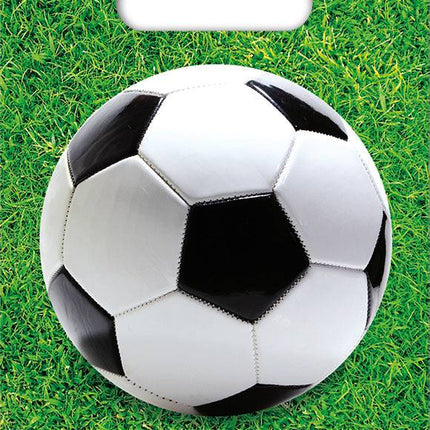 Sacchetti di condivisione per il calcio Decorazione 23cm 6pz