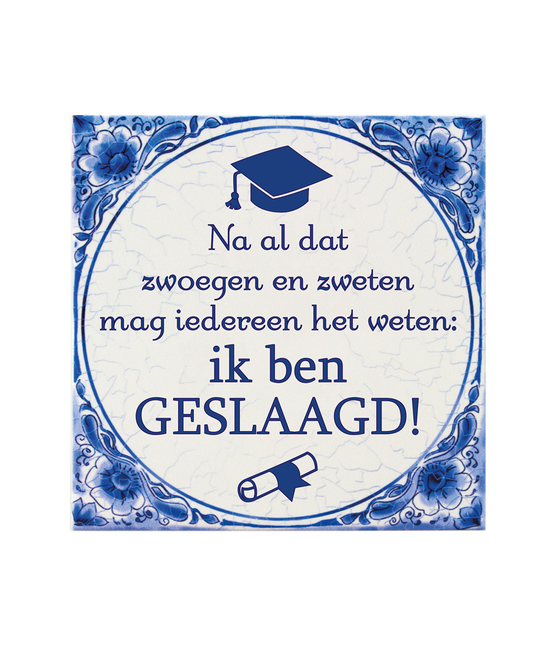 Piastrella blu di Delft Graduated School 15 cm