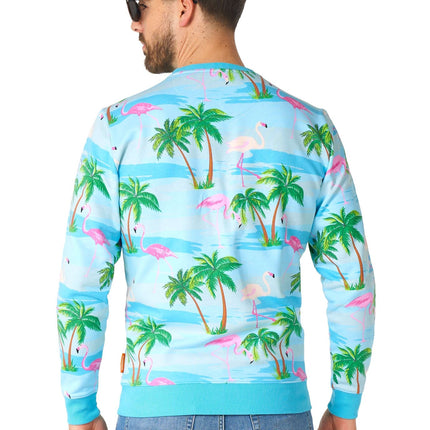Maglione Hawaii Flamingo Uomo <tc>OppoSuits</tc>