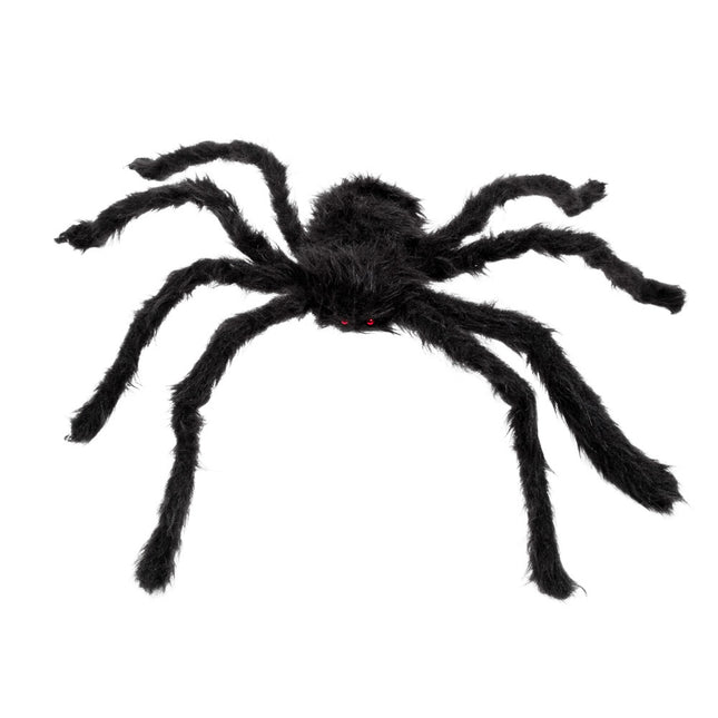 Ragno peloso di Halloween